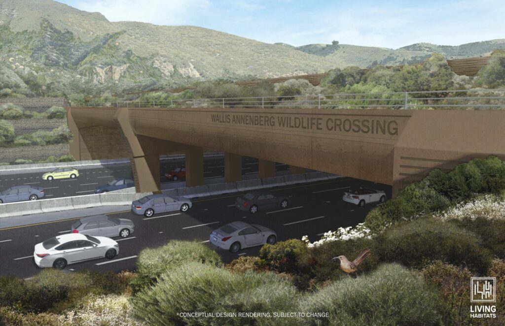 the wildlife conservation bridge which donors like Leonard DiCaprio helped fund in California