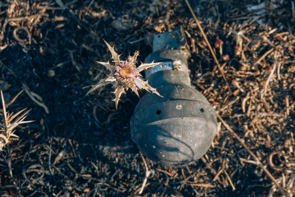 grenade lying on grass near flower