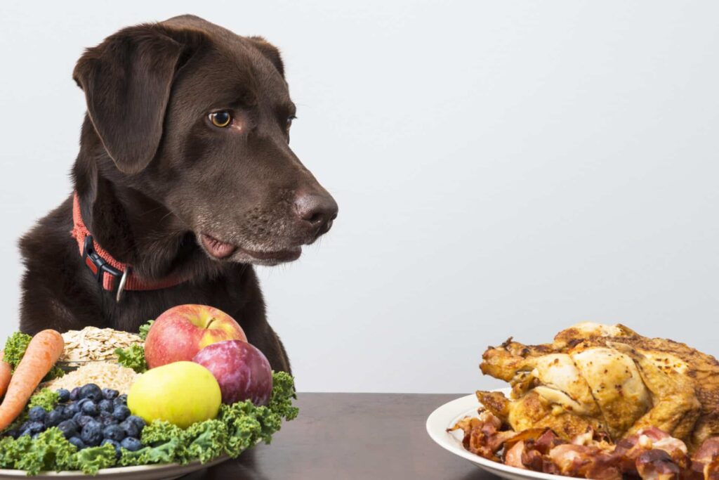 According to the study conventional dog diets are higher in calories