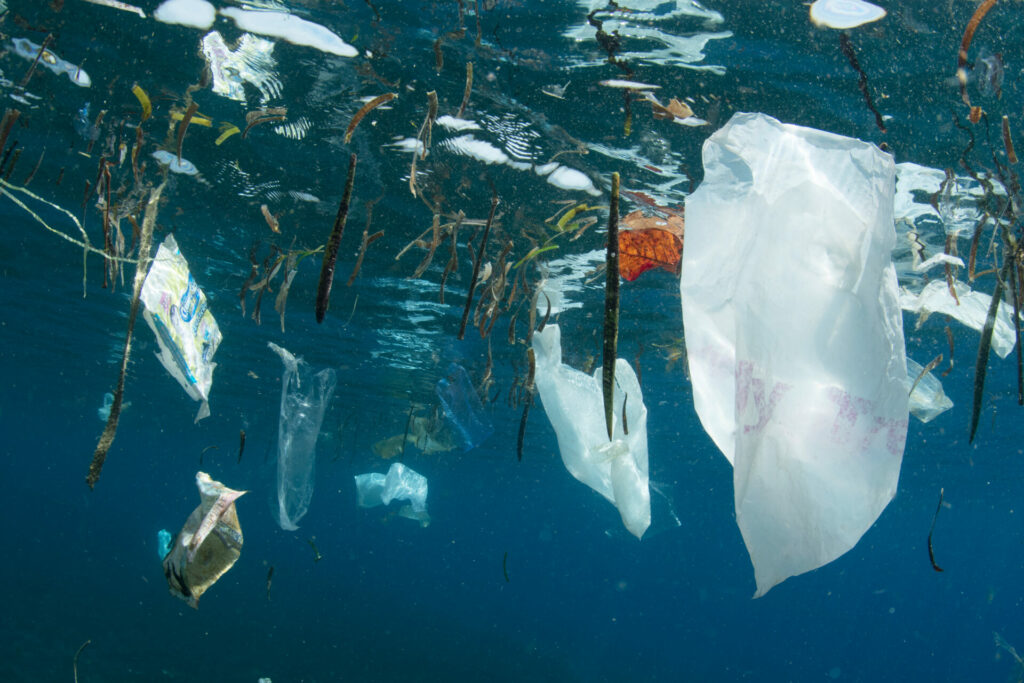 plastic bag floating in the sea