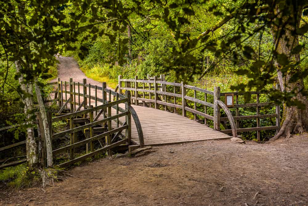 Pooh Sticks Bridge at 100 Acre Wood in East Sussex where AA Milne based his Winnie the Pooh stories