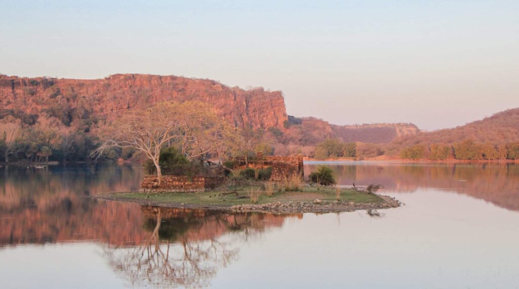 Ranthambore National Park in India home to around 80 tigers