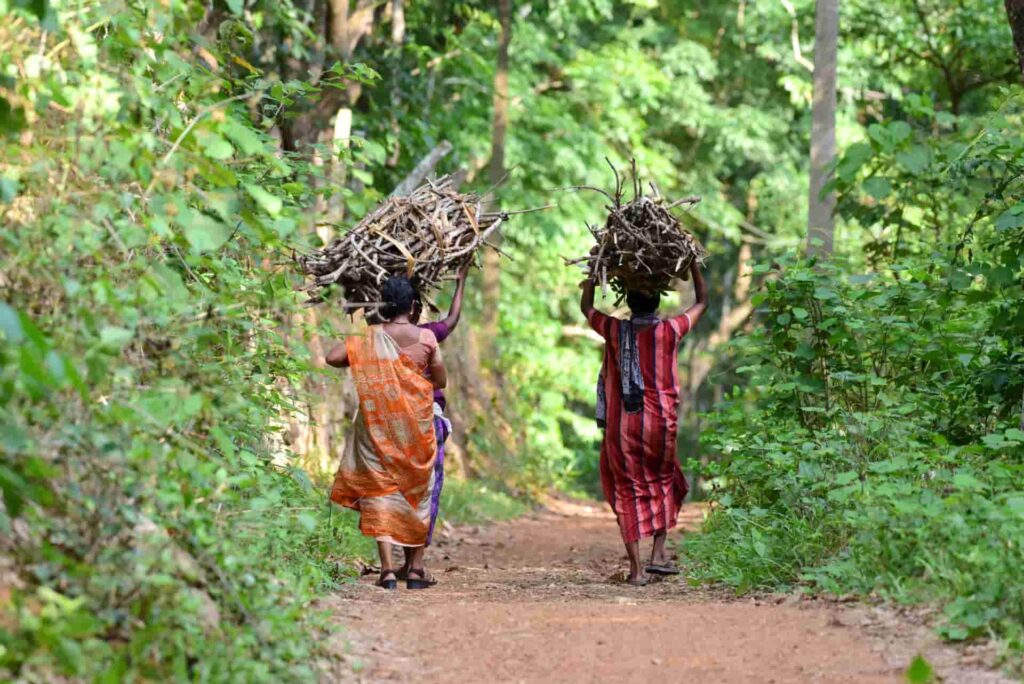 south india