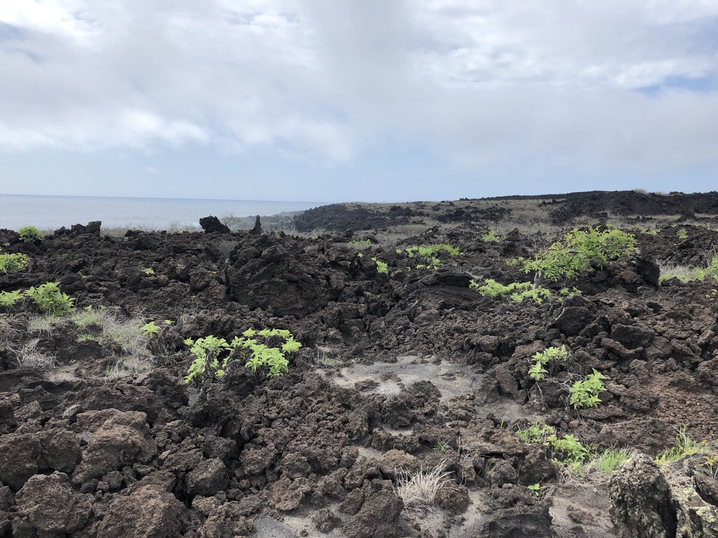 arid land where the giant tortoise was found