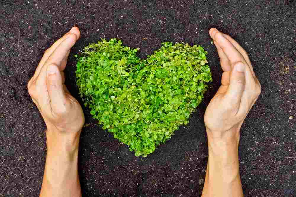 Now you can choose a green mate on dating apps but couples who've been together longer didn't know about climate change when they got together