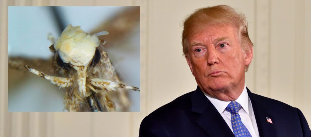 Don’t Name New Species after Celebrities