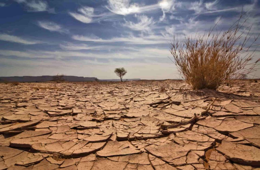 Drought Could Impact over 75 per cent of World Population by 2050