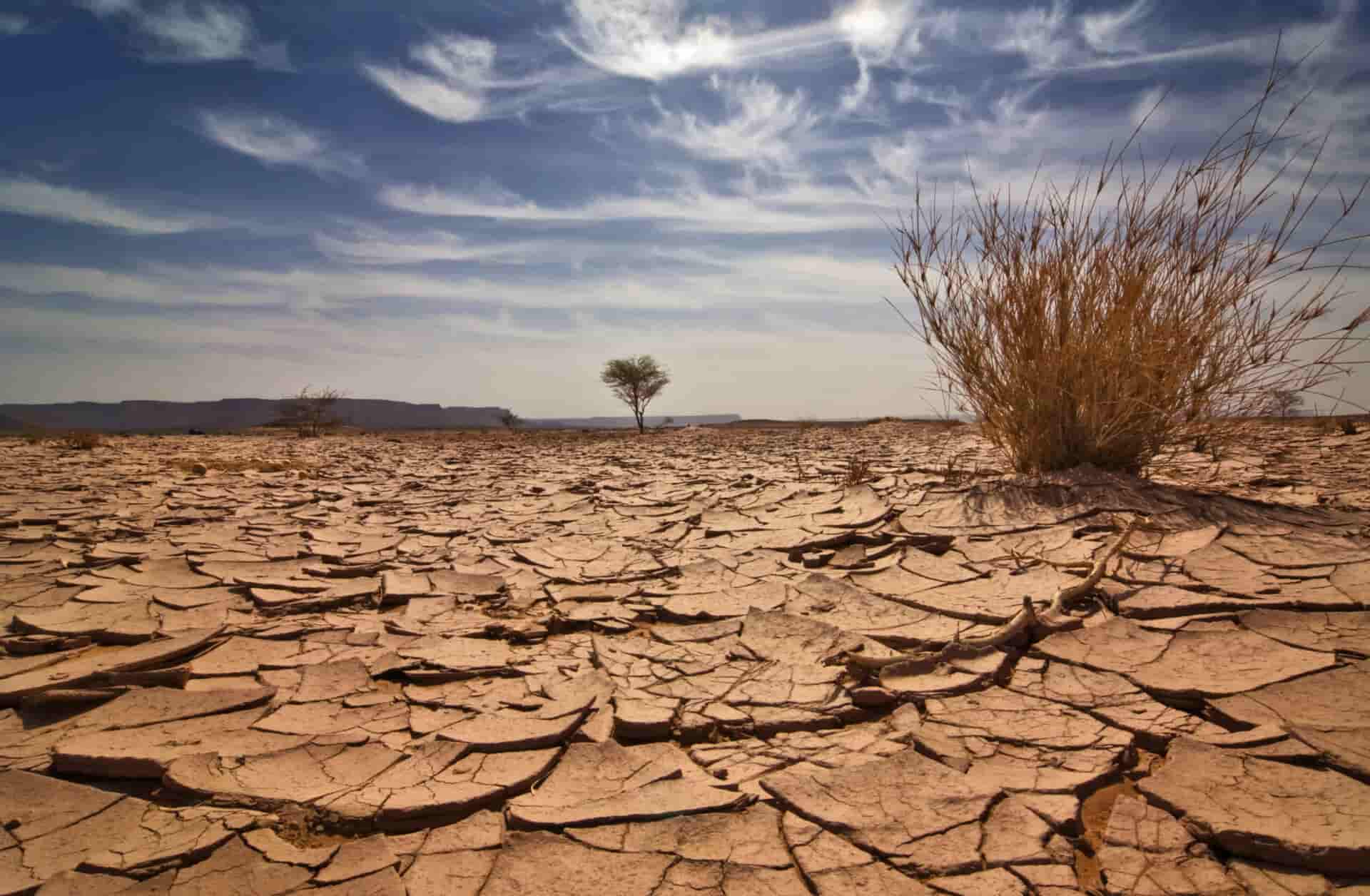Drought Could Impact over 75 per cent of World Population by 2050