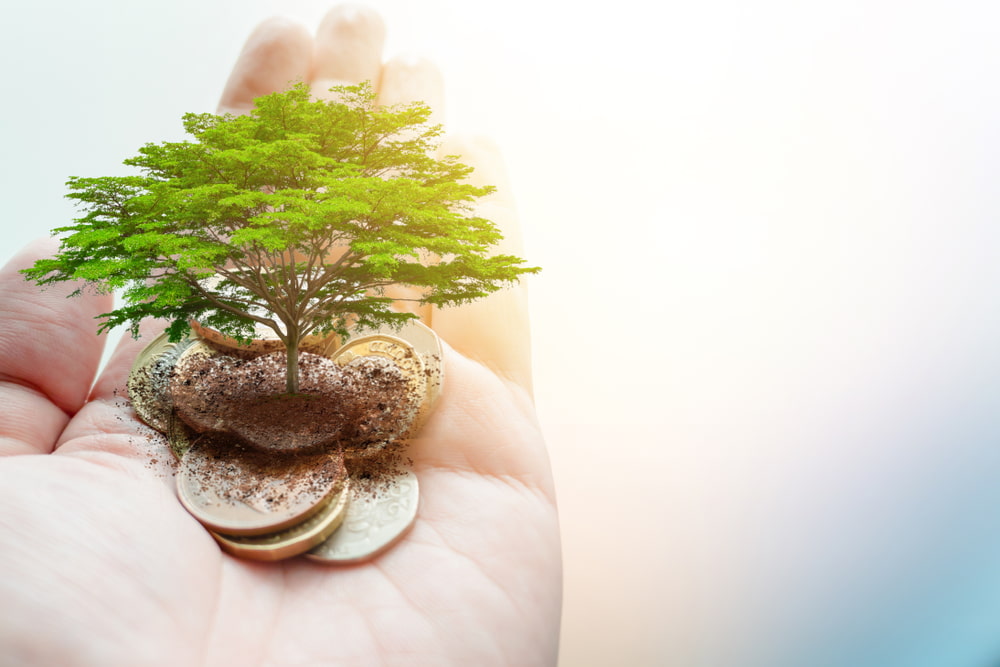 How Green Is Your Bank?