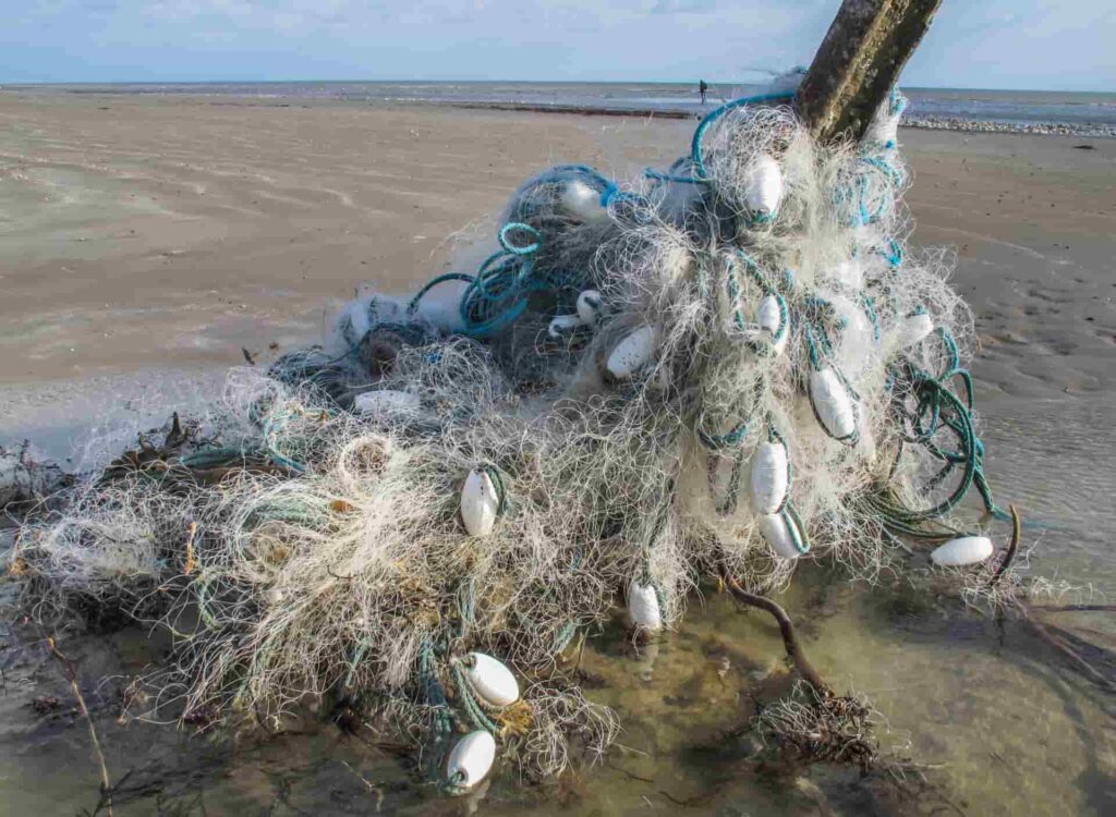 Illegal Drift Nets