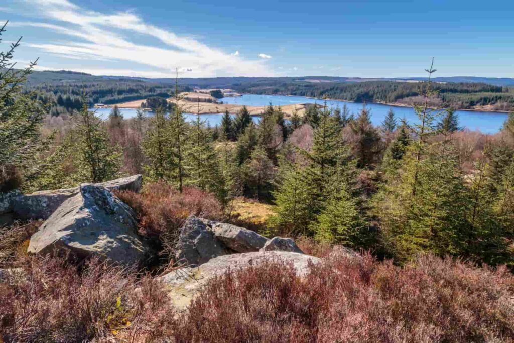 Kielder water view from a peak in the forest