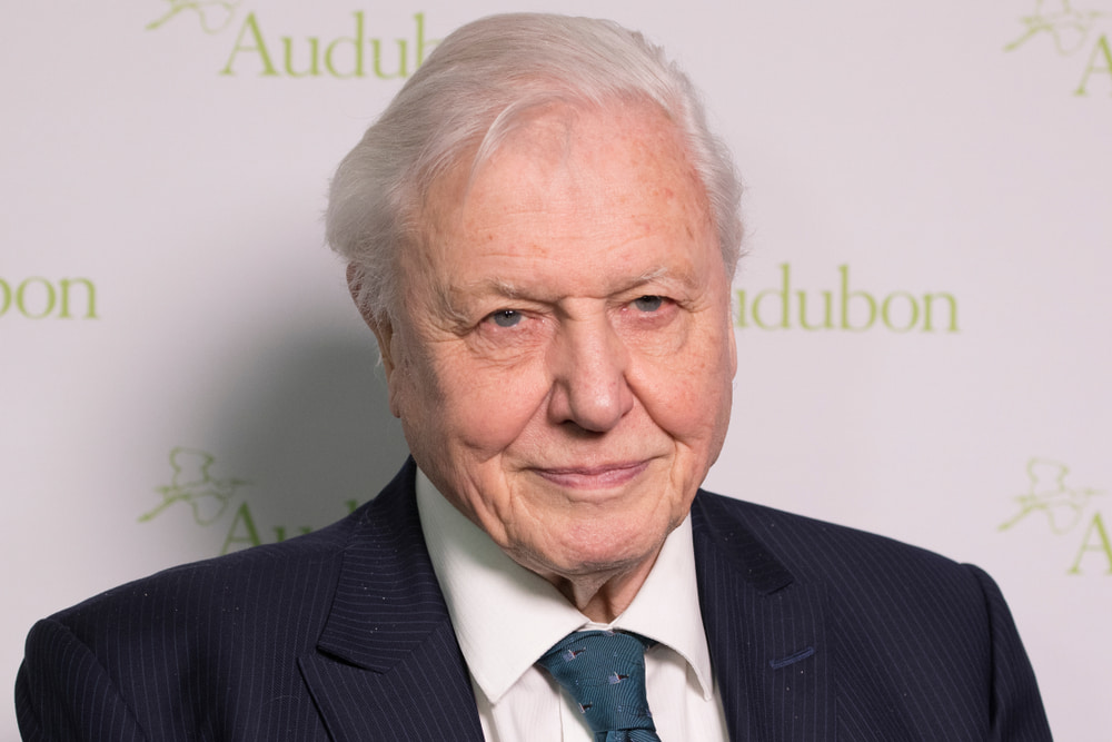 sir david attenborough knighted again for conservation