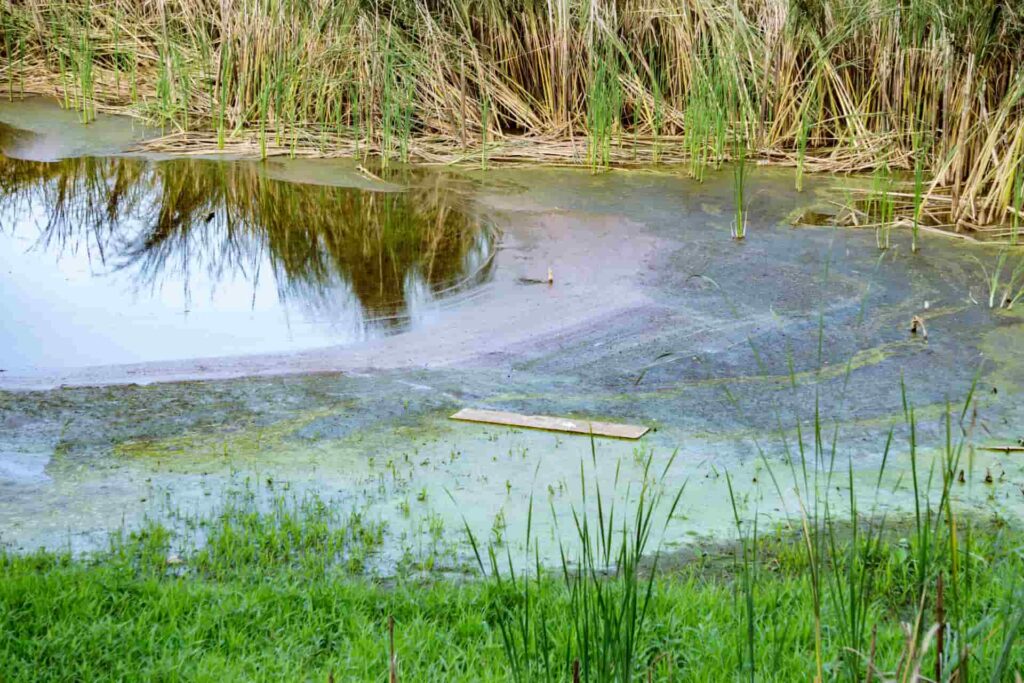 Chemicals in our Waterways