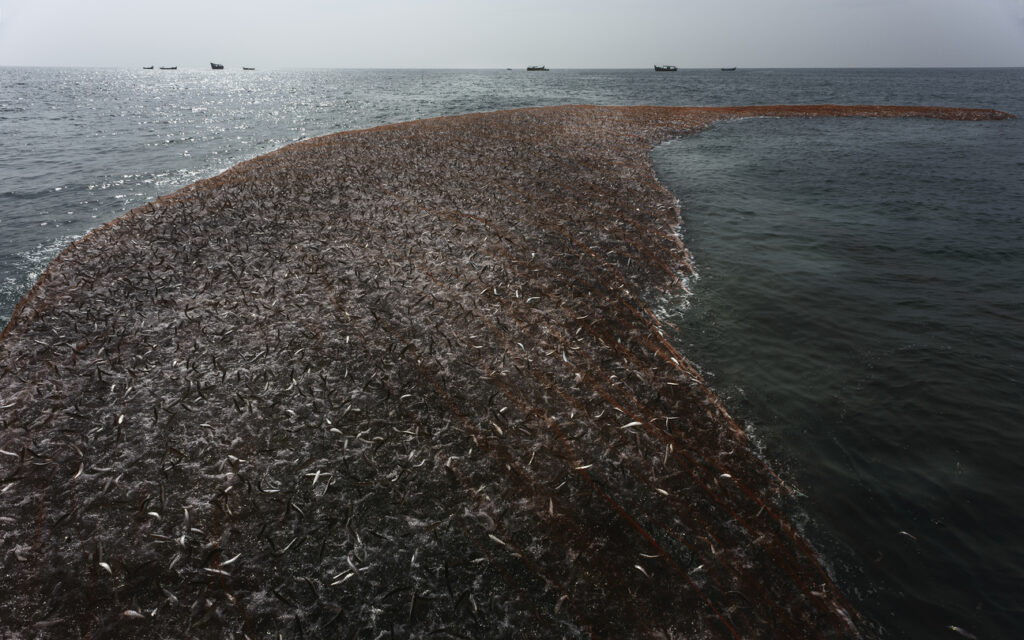 Fishing Net Stock Photo - Download Image Now - Overfishing, Commercial  Fishing Net, Nautical Vessel - iStock