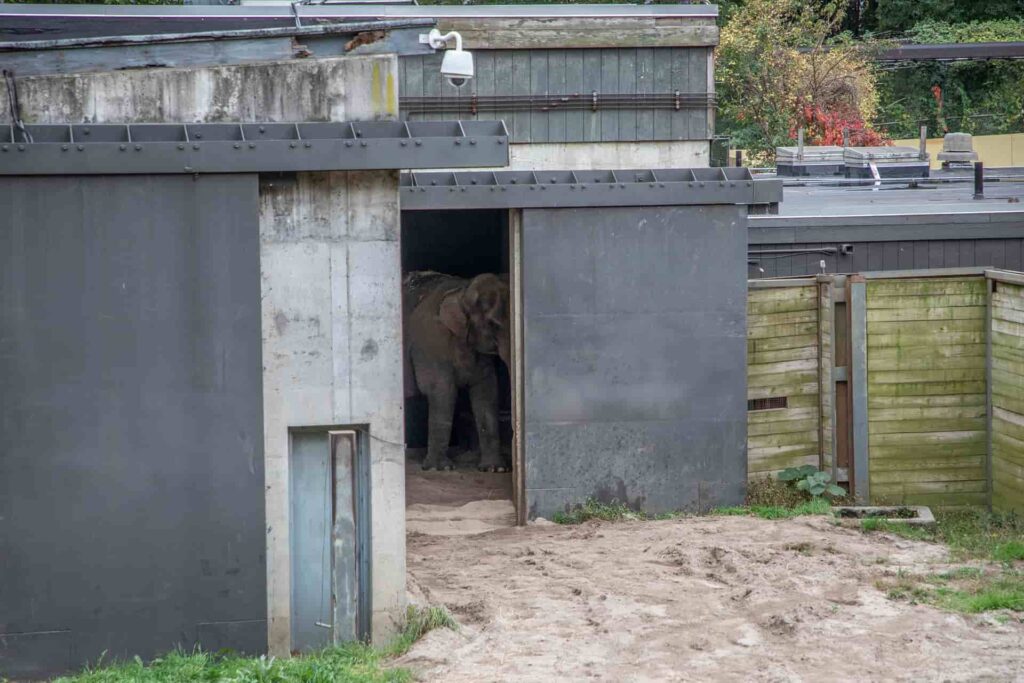 lawful confinement in the zoo