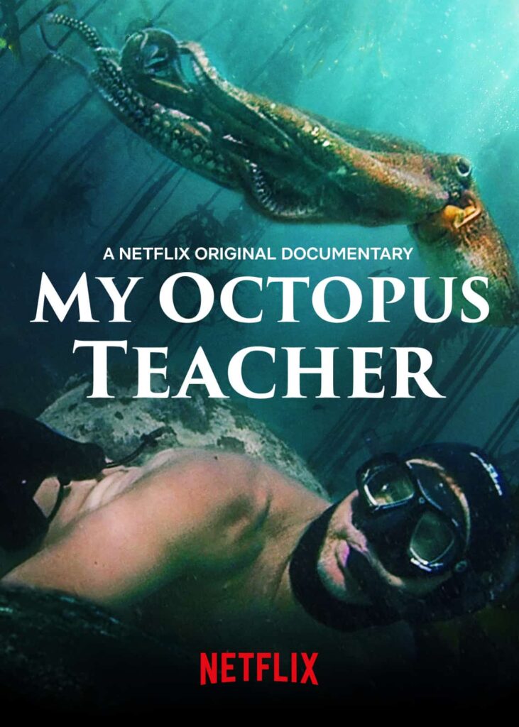 Netflix documentary My Octopus Teacher