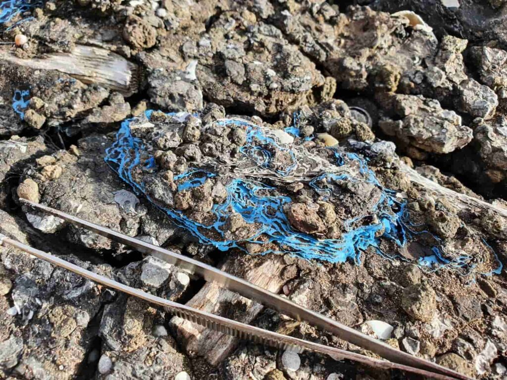 Plastitar is a toxic mix of hardened tar bonded with microplastics that has been found in several Canary Islands
