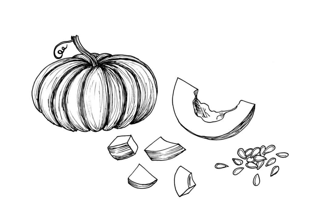 Squash and pumpkin seeds