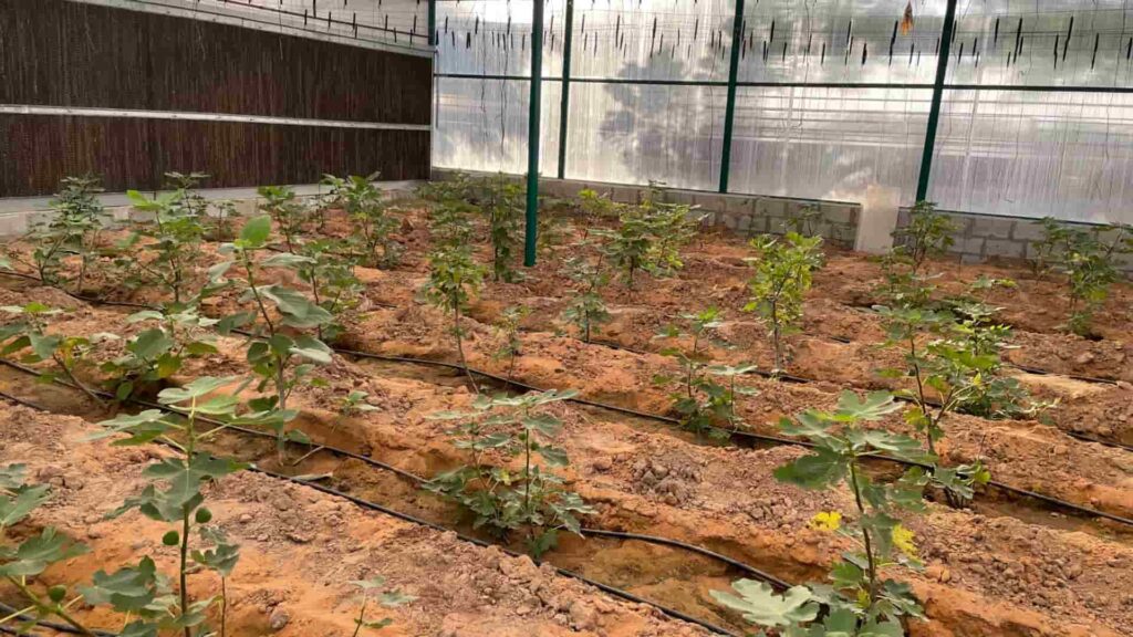 water conservation and sustainable farming technologies