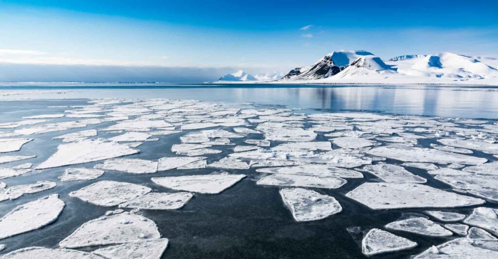 Arctic heating up almost four times faster than rest of planet