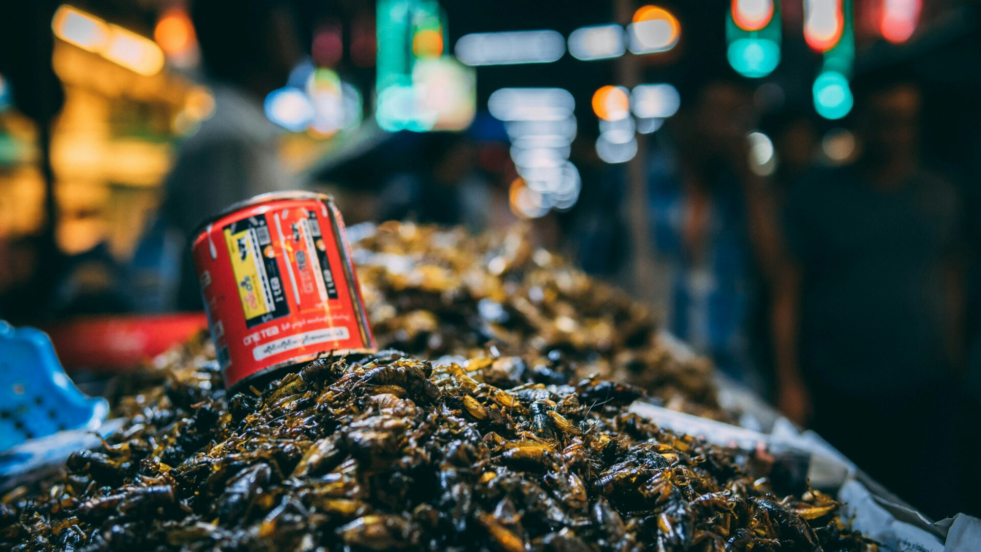 Why Insects Are Crawling Onto Menus As Future Of Food