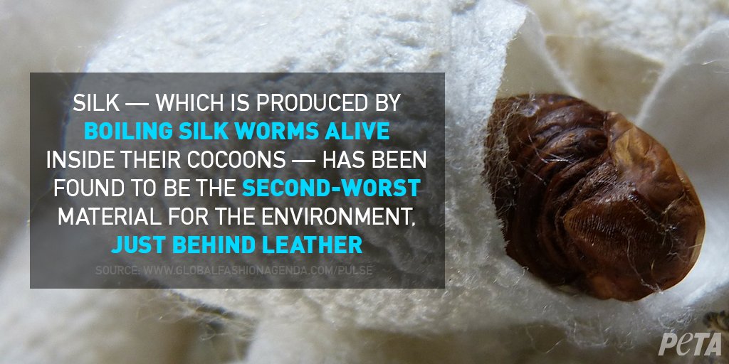 Peta have called for a ban on silk with their hard-hitting campaign 