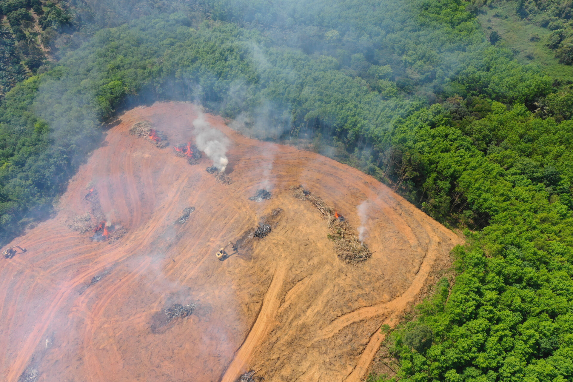 Amazon Rainforest Destroyed At Record Levels In 2022