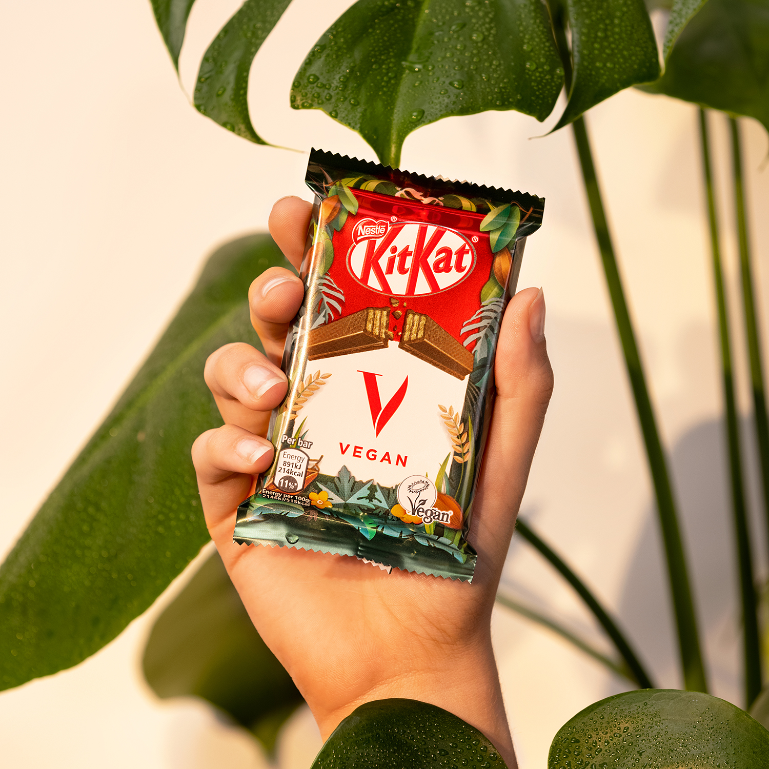 hand holding a sample of the new kitkat vegan chocolate bar dubbed the KimKat for the star