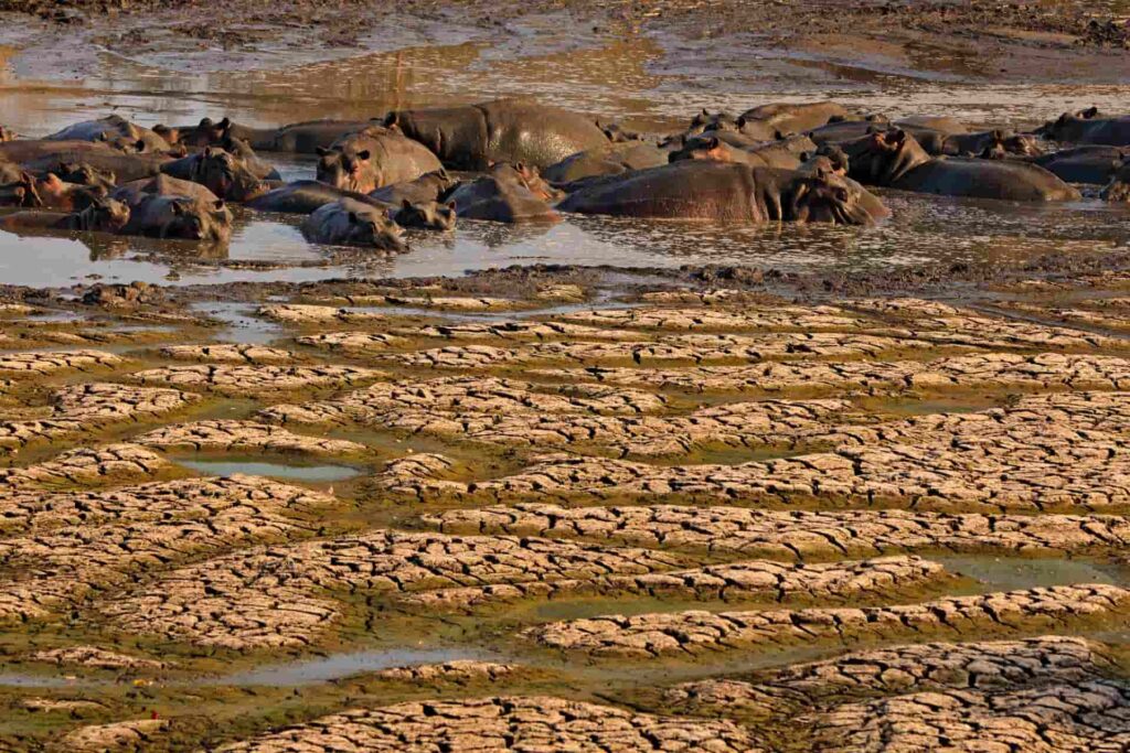 national parks in Africa are increasingly threatened by below average rainfall