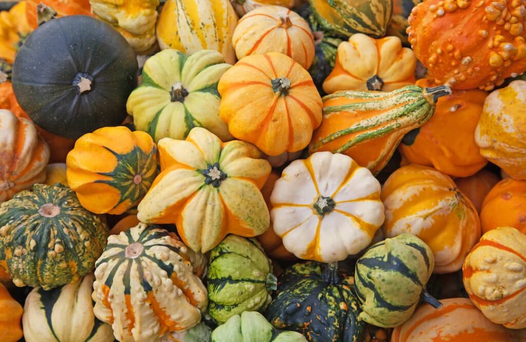 waste-Free Vegan Recipes for Zero Waste