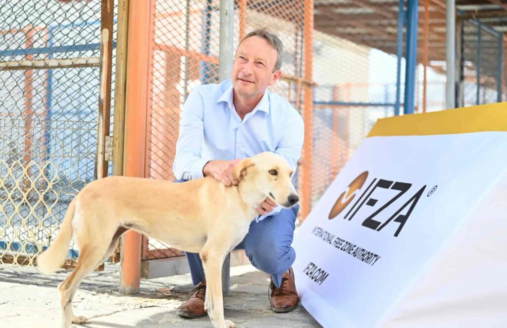 Dog rescue centre in flood hit fujairah