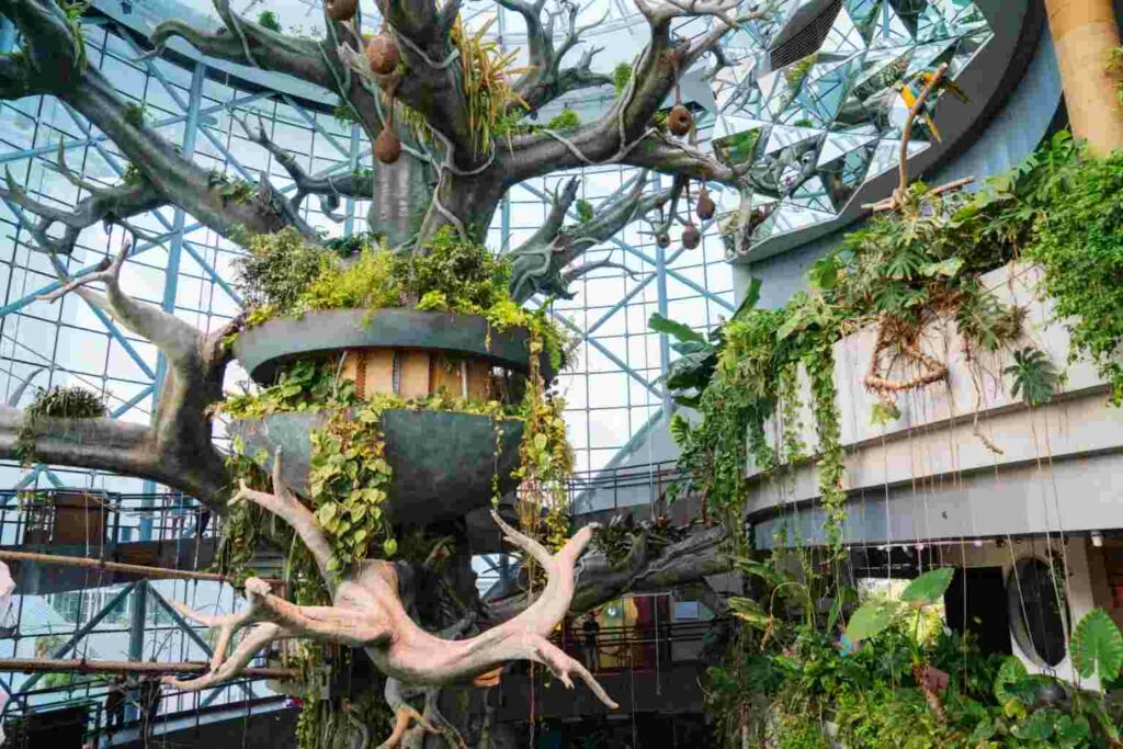 The Green Planet in City Walk, where you can explore the dark and eerie bat cave experience