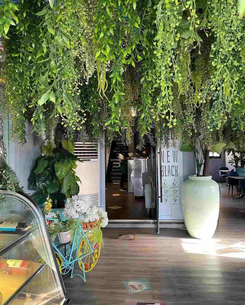 Just Vegan plant-based restaurant in dubai