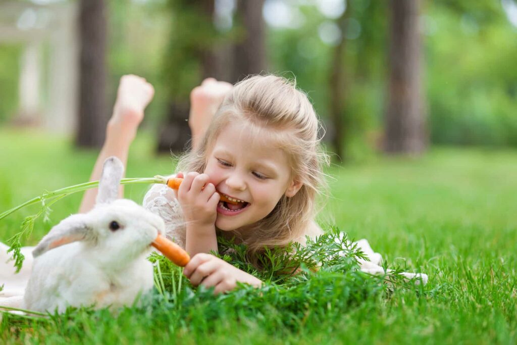 Rabbits are plant-based
