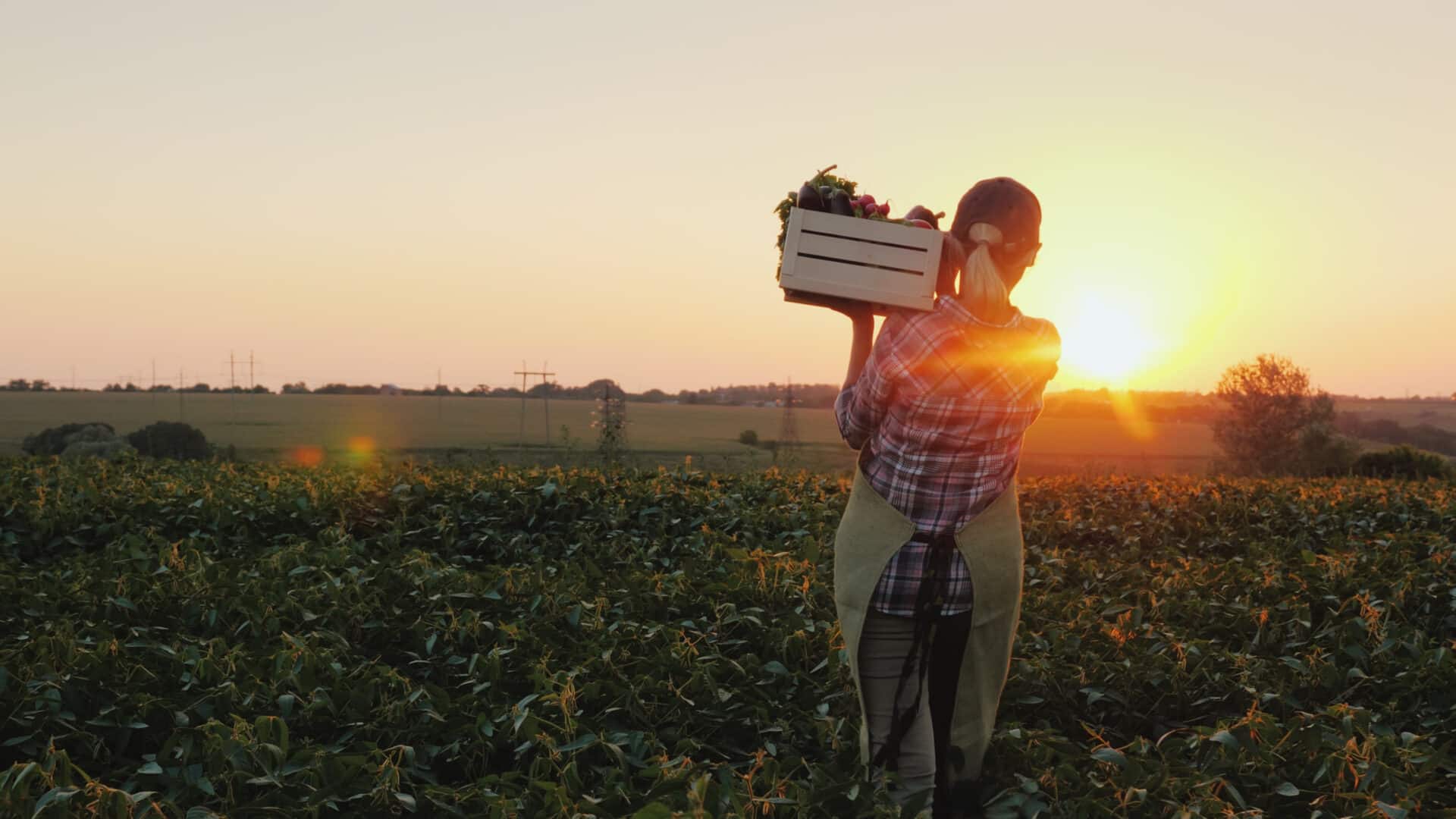 ways to go organic