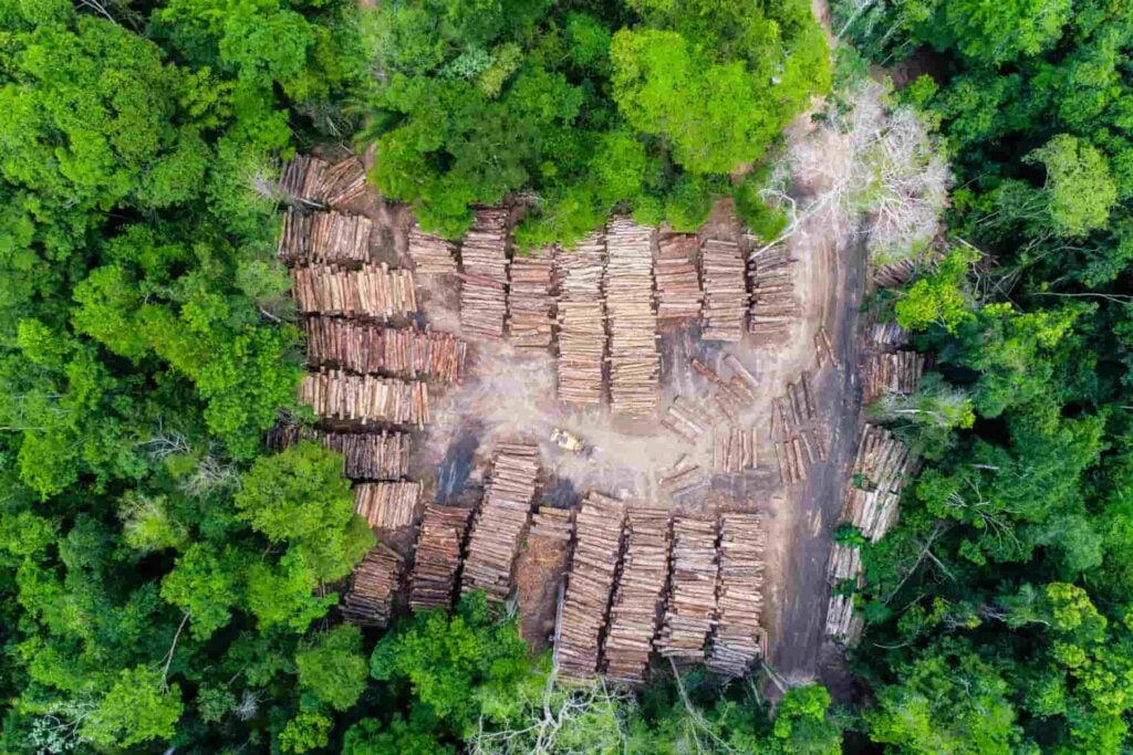 Amazon Rainforest Protection