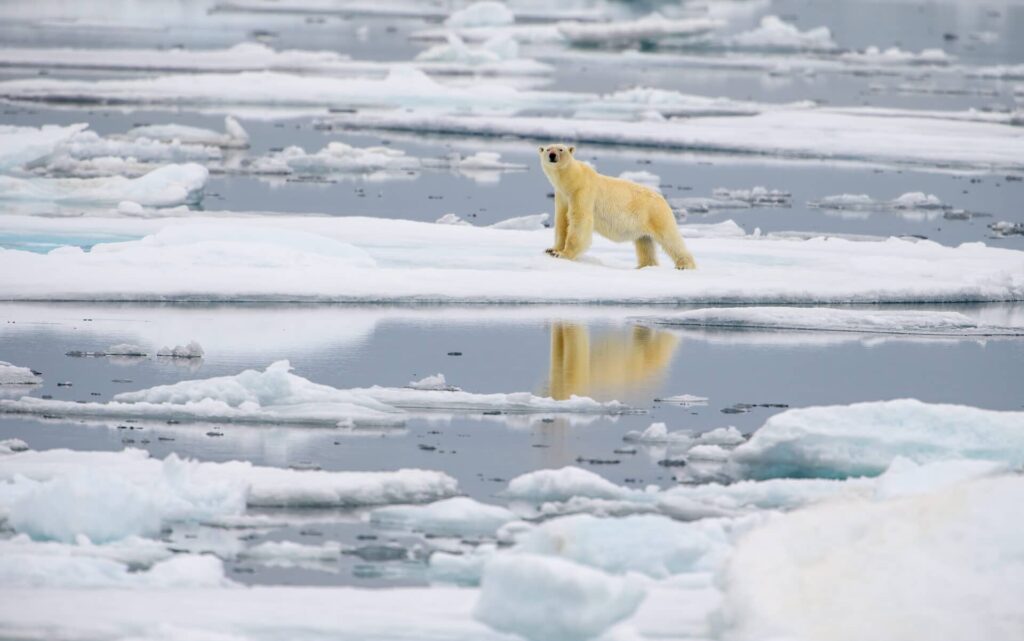 climate crisis