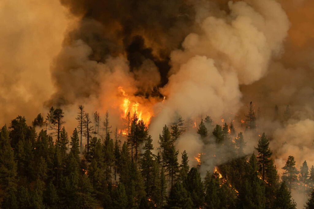 climate crisis