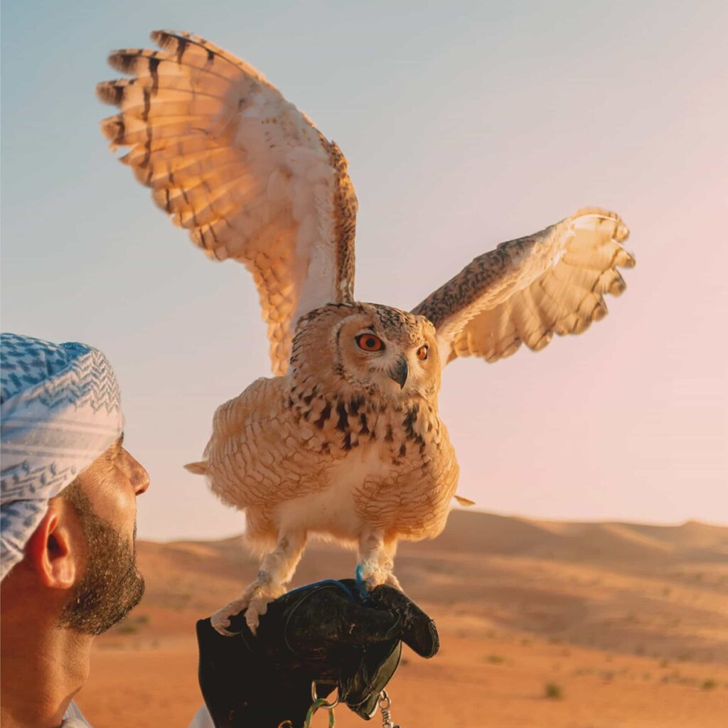 falconry