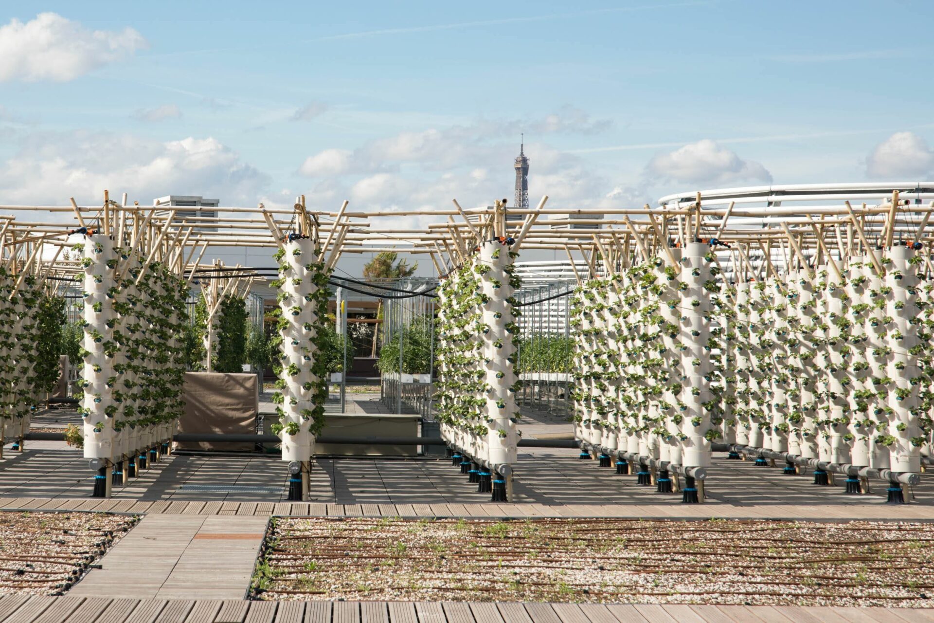 These Are The World's Top 10 Most Sustainable Cities - The Ethicalist