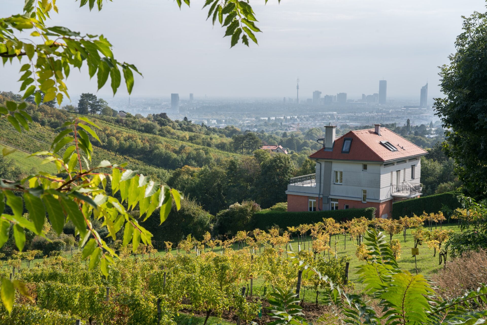 These Are The World's Top 10 Most Sustainable Cities - The Ethicalist