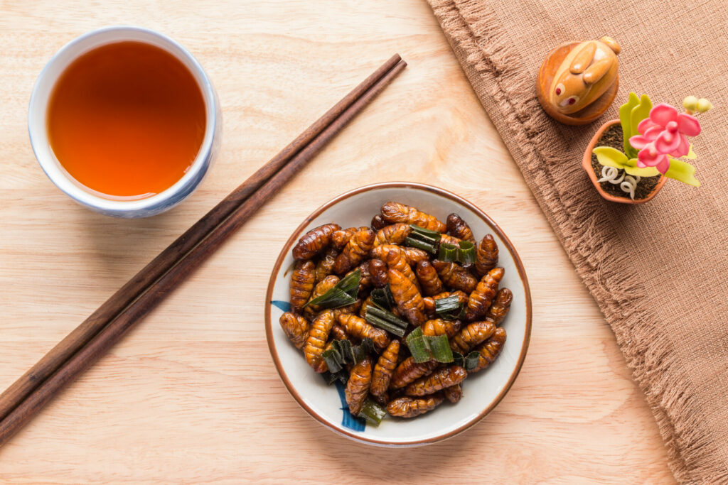 bowl of cooked insects asian style with chopsticks nearby