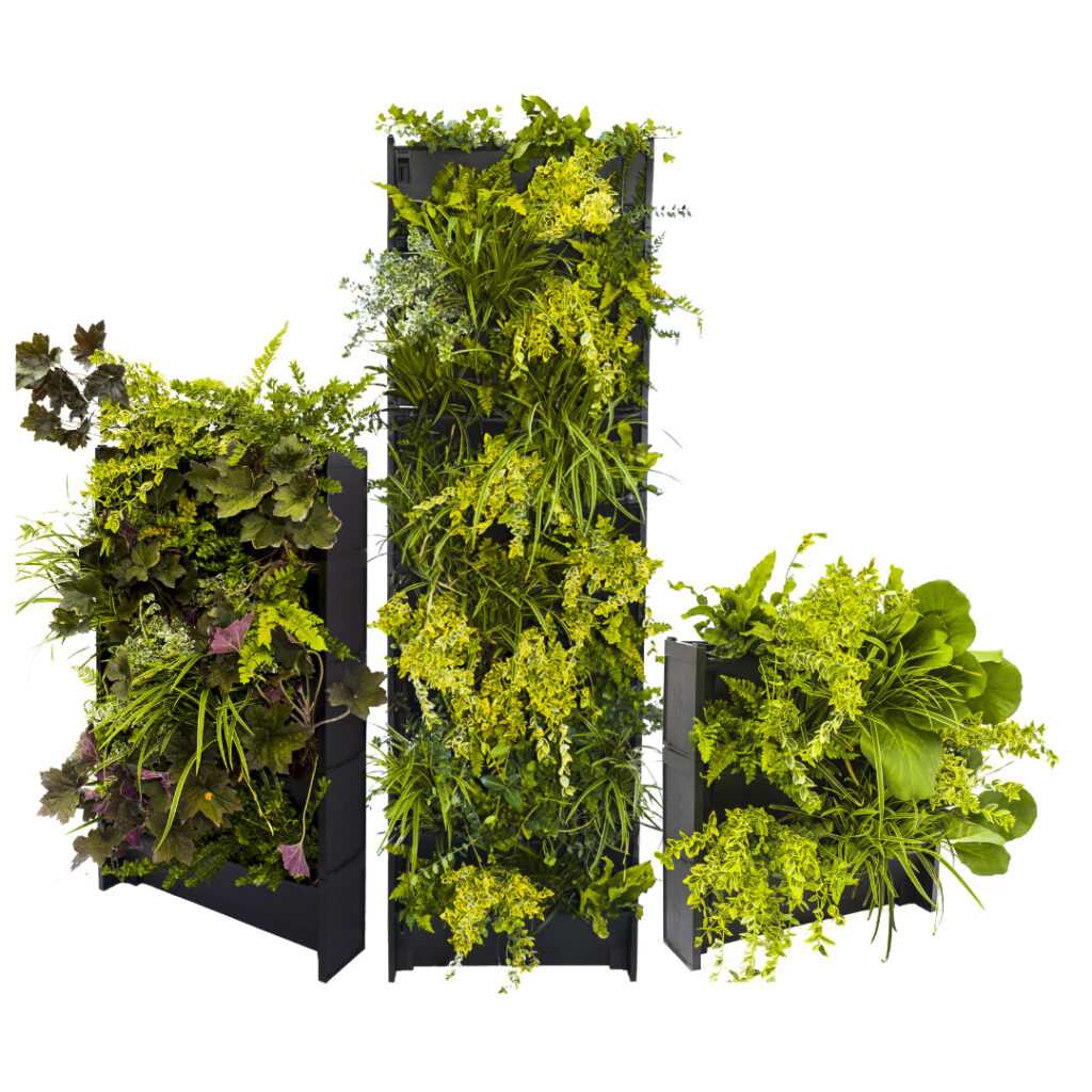 A living wall is the ultimate gift for christmas