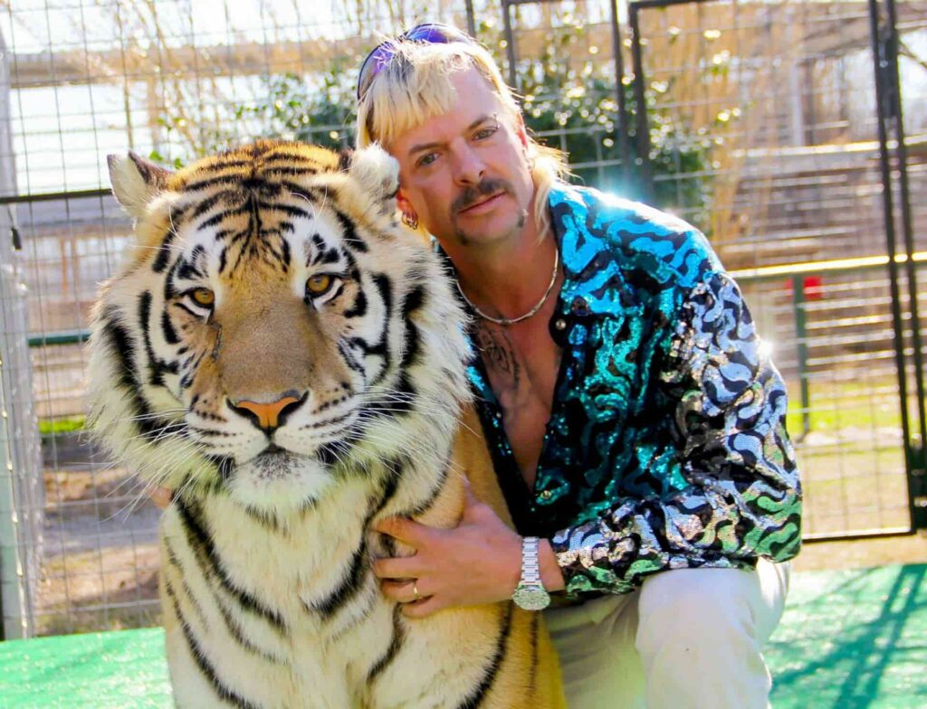 Law to Protect Big Cats from Roadside Zoos