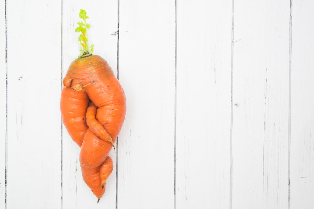 misshapen carrots are now sold but was food waste before