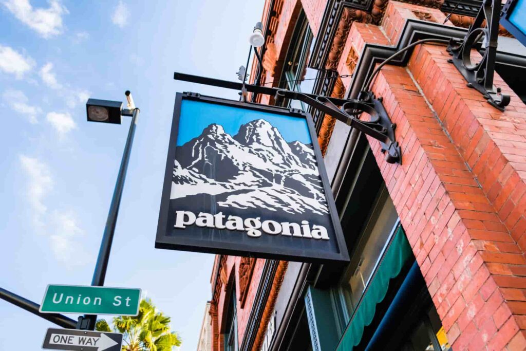 Patagonia Turns Black Friday Green