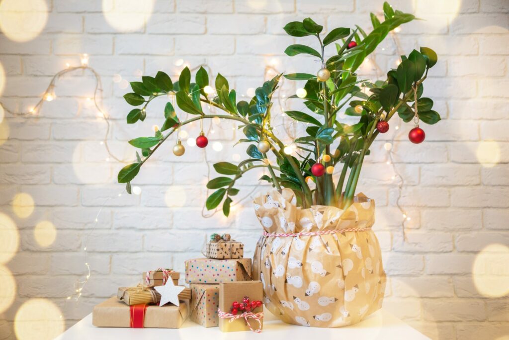 house plant acting as Christmas tree with baubles hanging from it and gifts underneath 