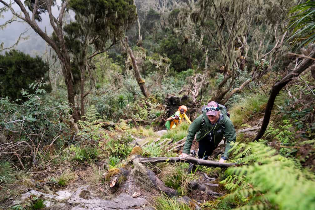 the way to Margherita peak