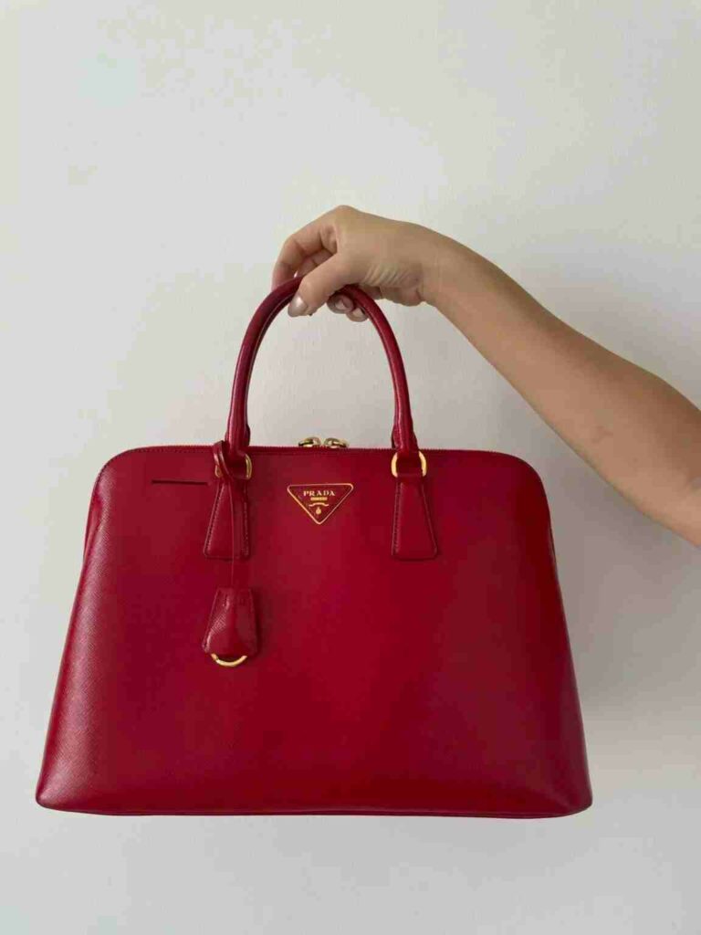 bagsy red bag