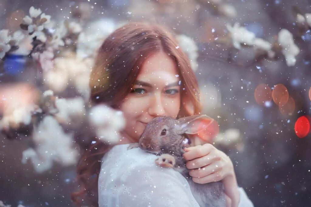 chinese new year of the rabbit